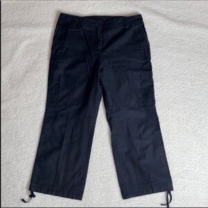 Ann Taylor Navy Blue Pants cropped ankle Beach Vacation Size 10